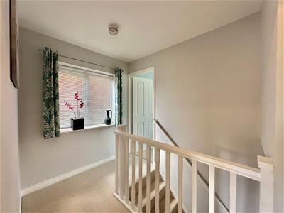 Picture 14